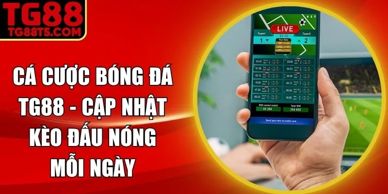 Cá Cược Bóng Đá
